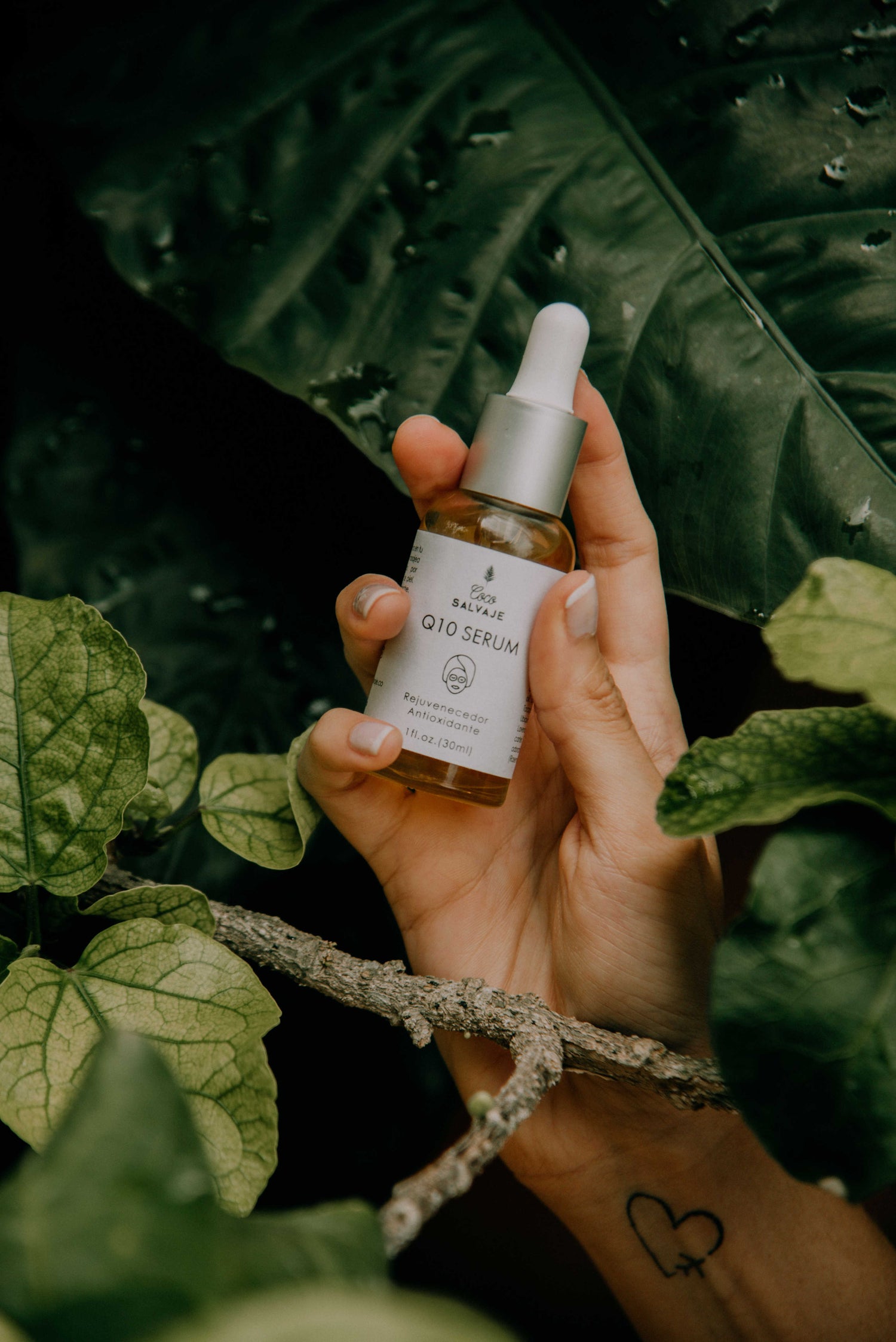 Coco Salvaje's Q10 Serum held in hand by leaves.