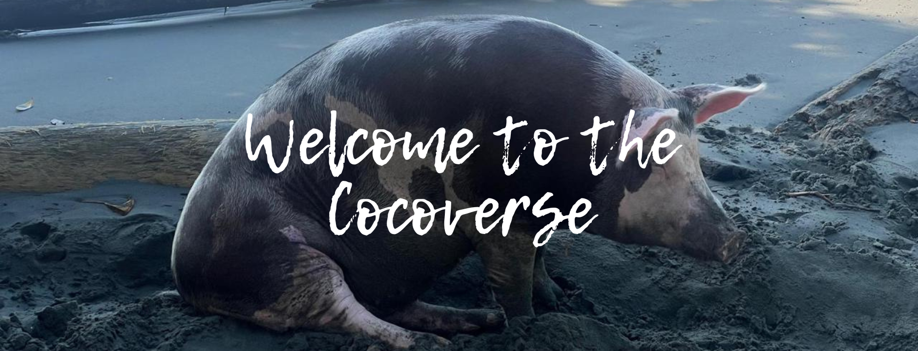 Welcome to the Cocoverse (1).png__PID:2e7a8db3-469b-4f27-8deb-0d1f1435886a