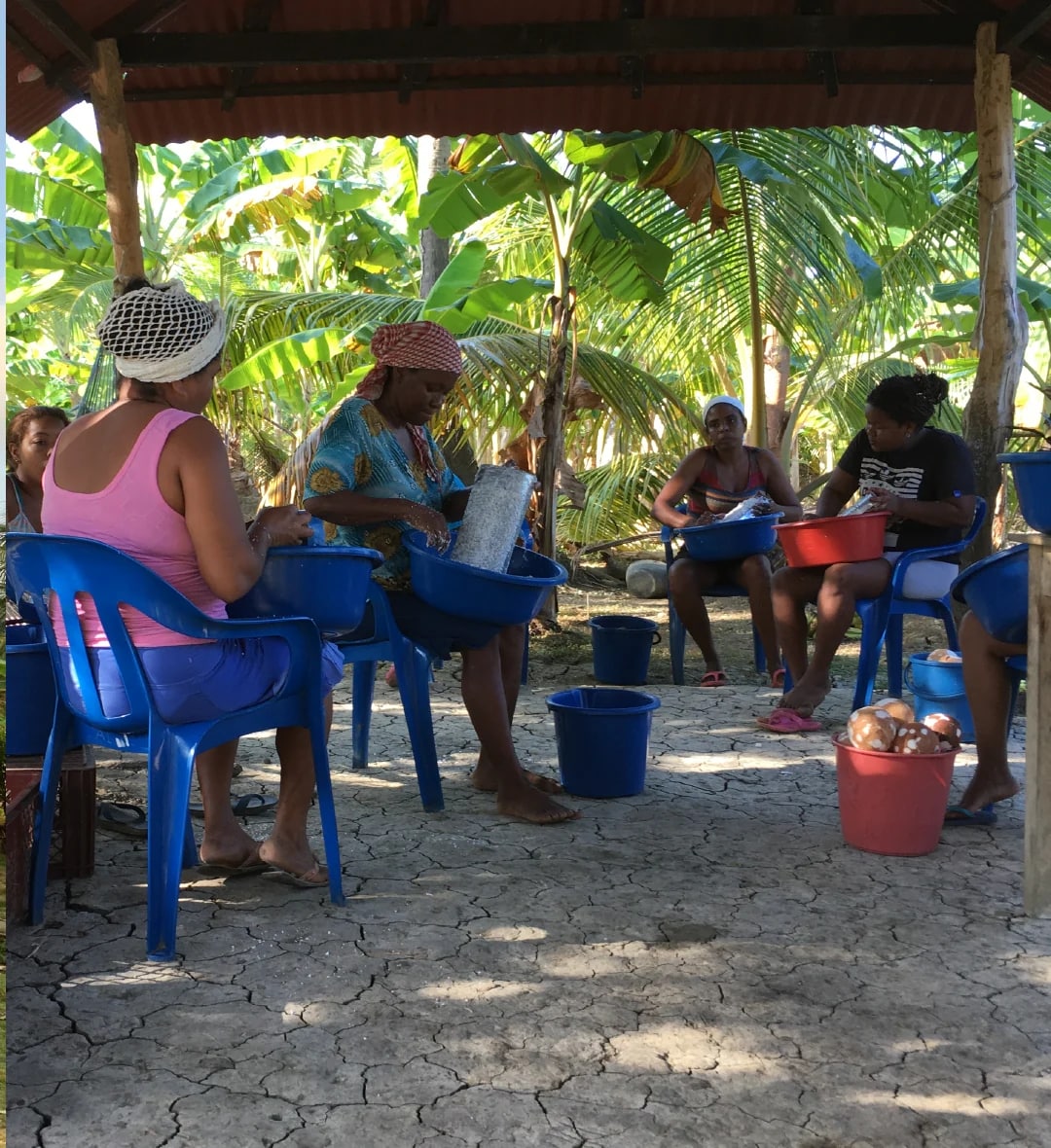 the first steps of coco salvaje: the beginning of a natural adventure, driven by love and a passion for authenticity.