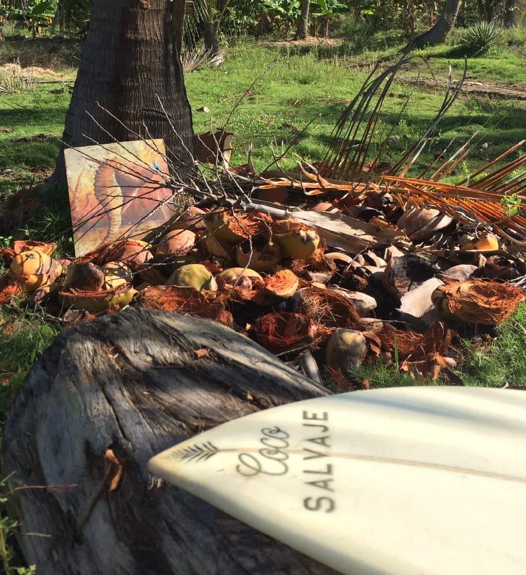 the first steps of coco salvaje: the beginning of a natural adventure, driven by love and a passion for authenticity.