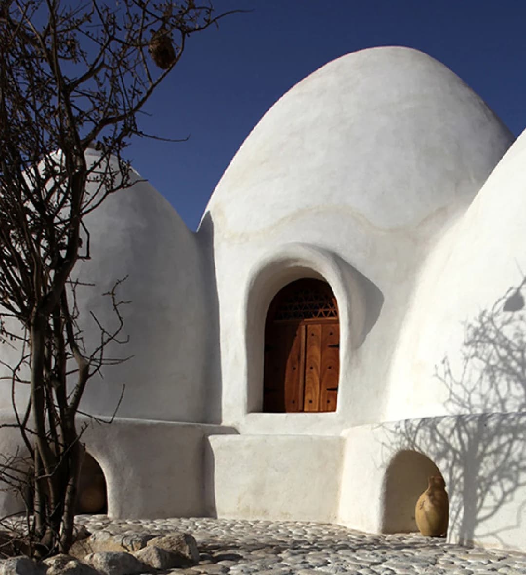 the first steps of coco salvaje: the beginning of a natural adventure, driven by love and a passion for authenticity.