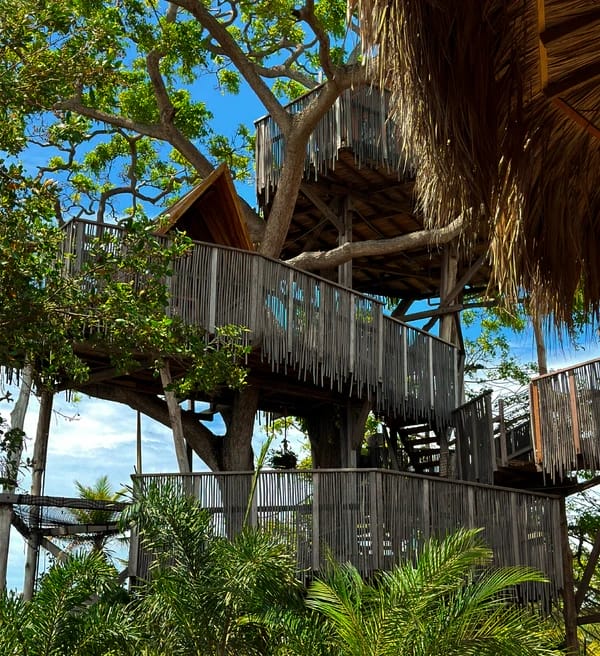coco salvaje's tree house, a natural retreat where creativity and magic meet at the highest point.