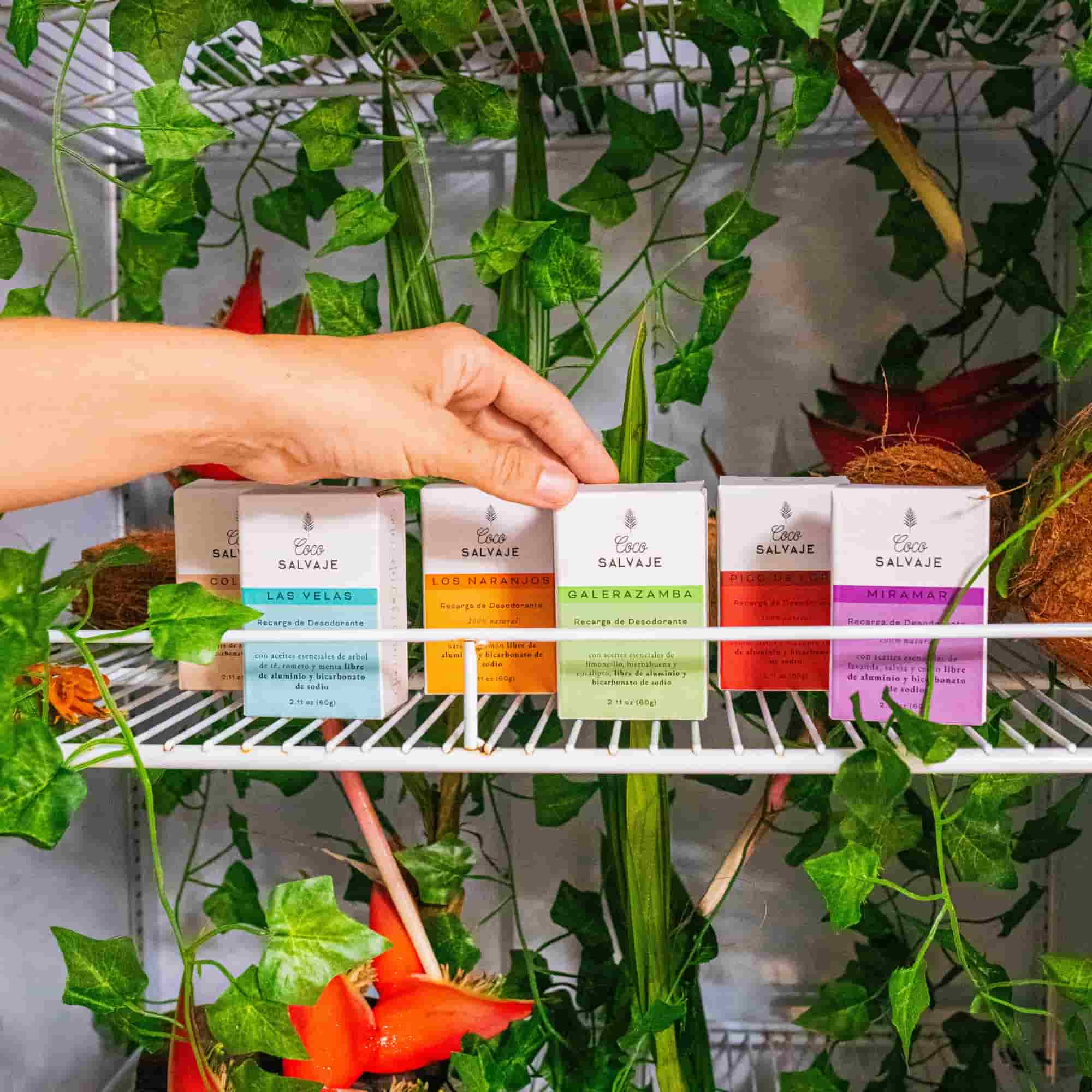 Everything You Need to Know About Our Natural Deodorant Stick