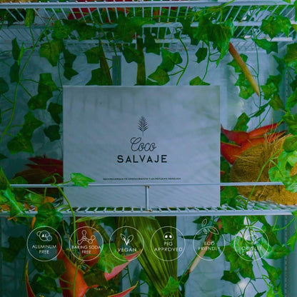 includes all 6 stick deodorants and a metal case. natural protection with style, all in one coco salvaje pack.