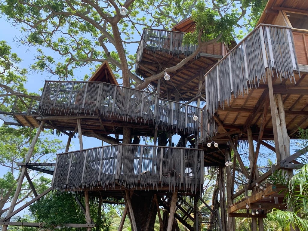 coco salvaje's tree house, a natural retreat where creativity and magic meet at the highest point.
