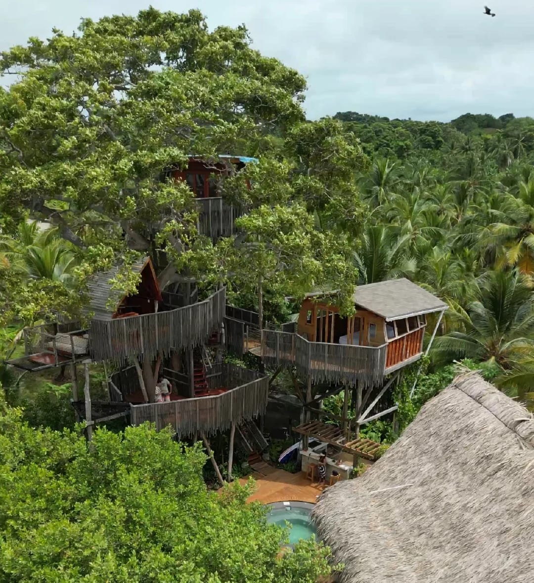 coco salvaje's tree house, a natural retreat where creativity and magic meet at the highest point.