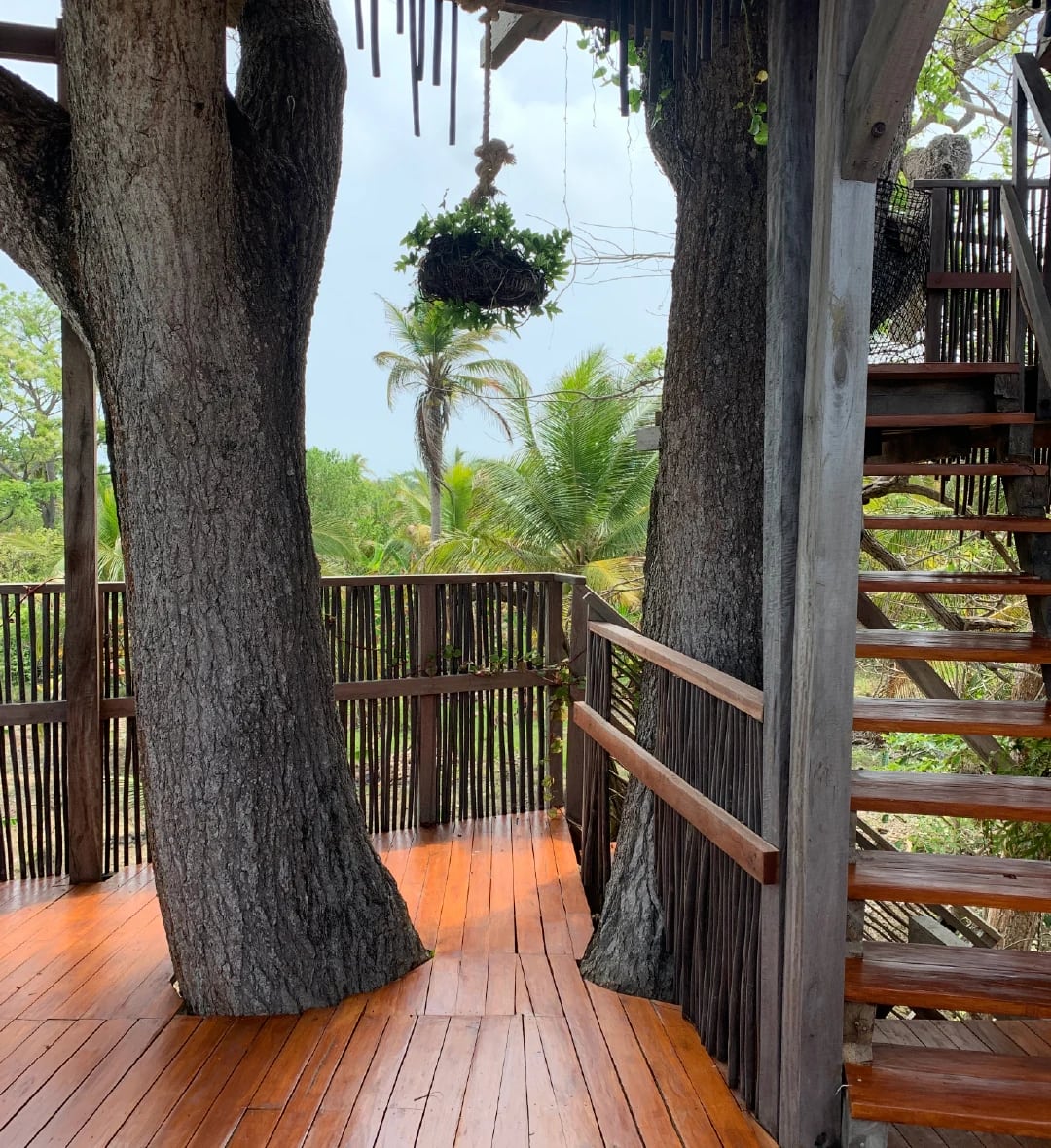 coco salvaje's tree house, a natural retreat where creativity and magic meet at the highest point.